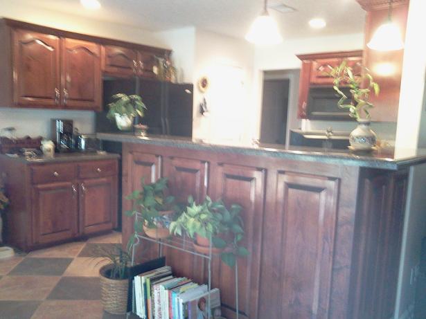 3422 Bethlehem Road Springfield, TN 37172 - Photo 7 of 20