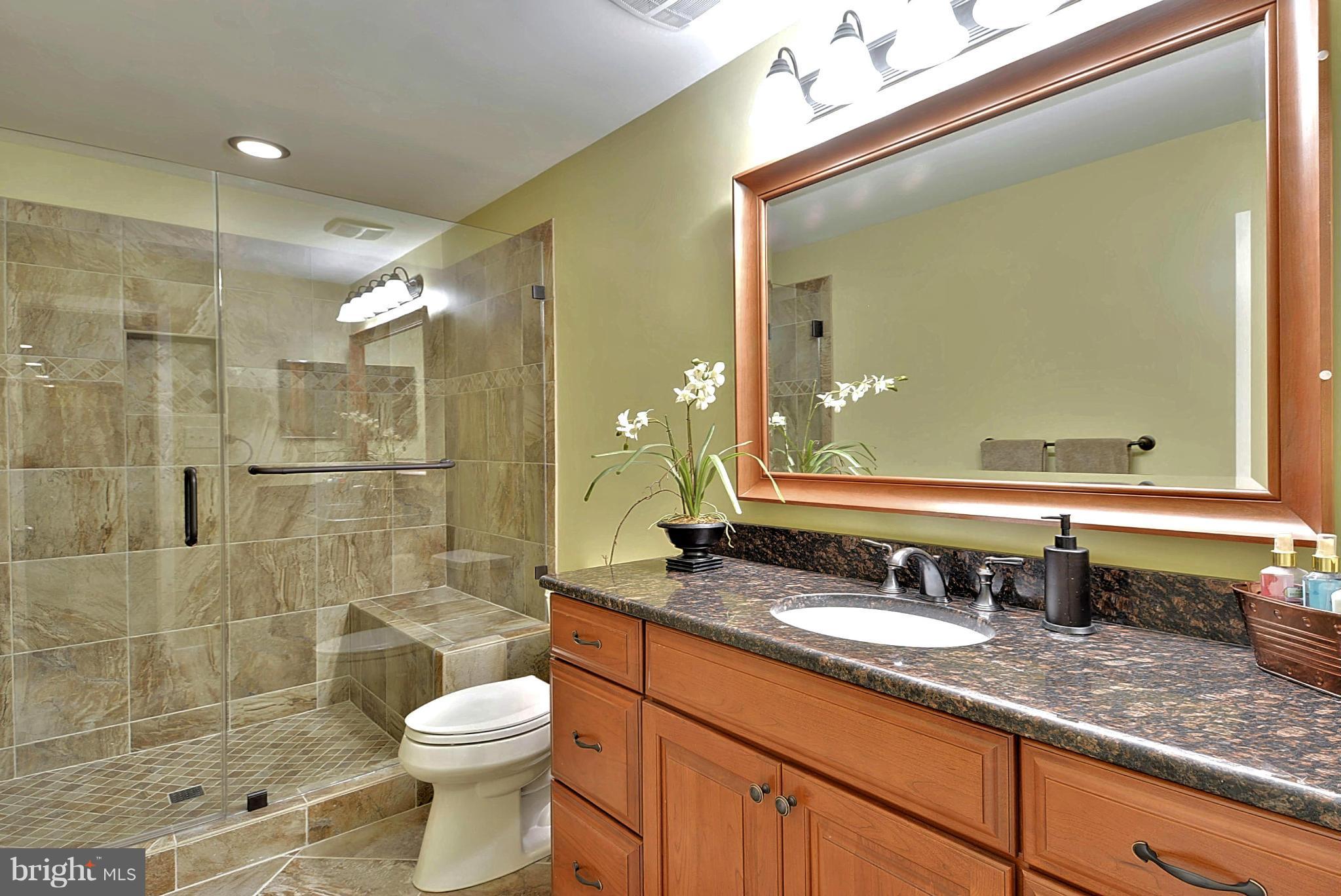 1102 Water Pointe Lane Reston, VA 20194 - Photo 22 of 29 Basement