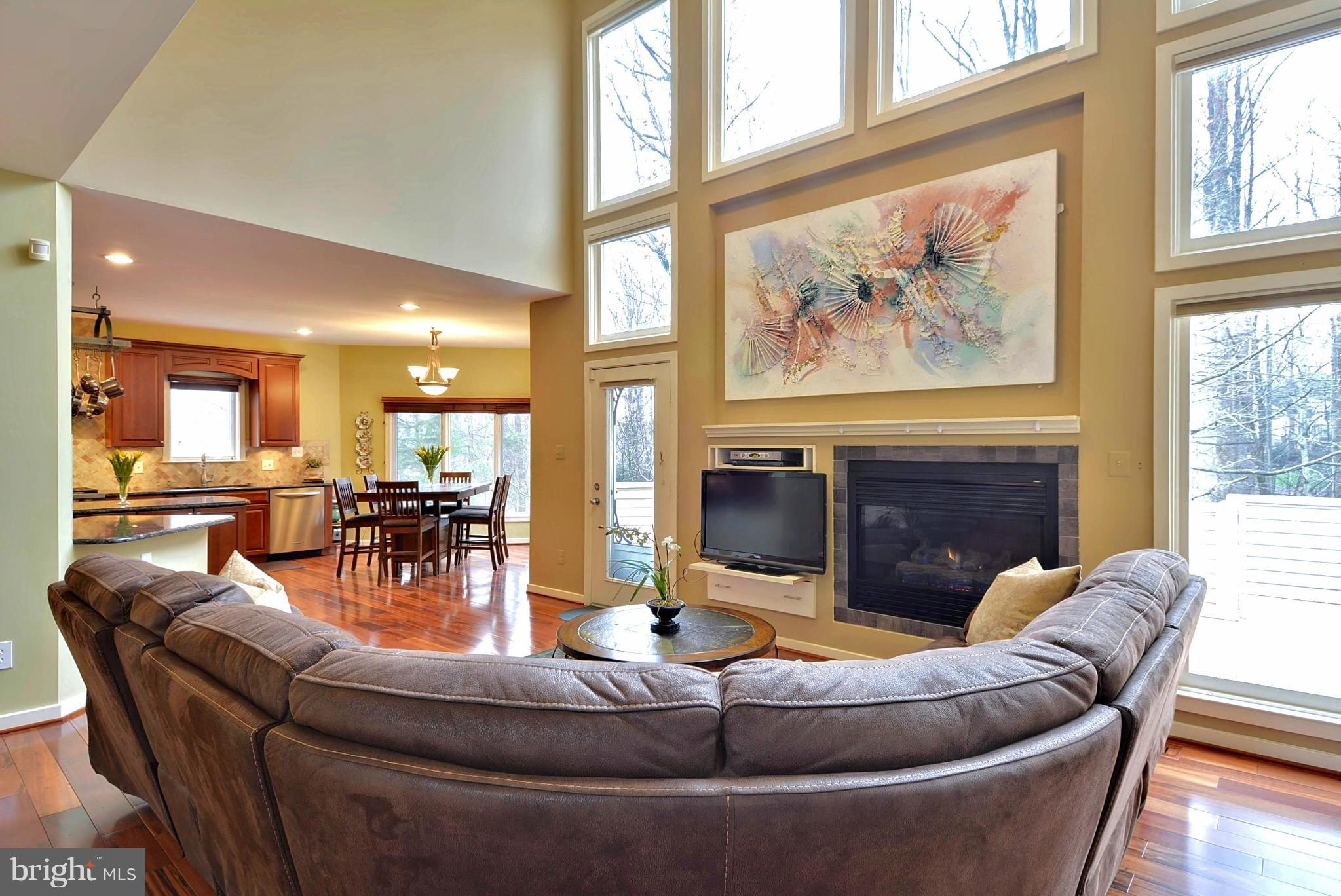 1102 Water Pointe Lane Reston, VA 20194 - Photo 7 of 29 Family Room