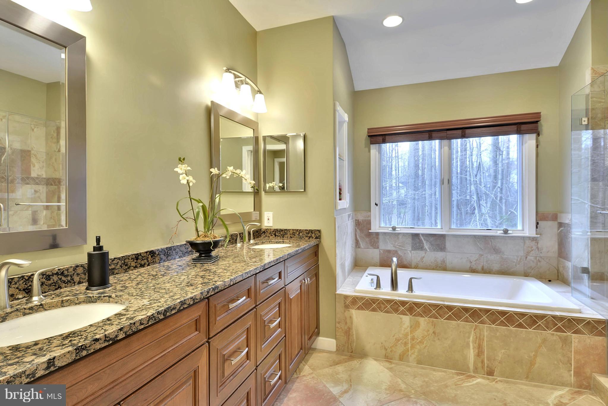 1102 Water Pointe Lane Reston, VA 20194 - Photo 8 of 29 Bath (Master)