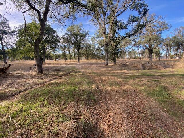 Shasta View Redding, CA 96002 - Photo 32 of 41 IMG_6221