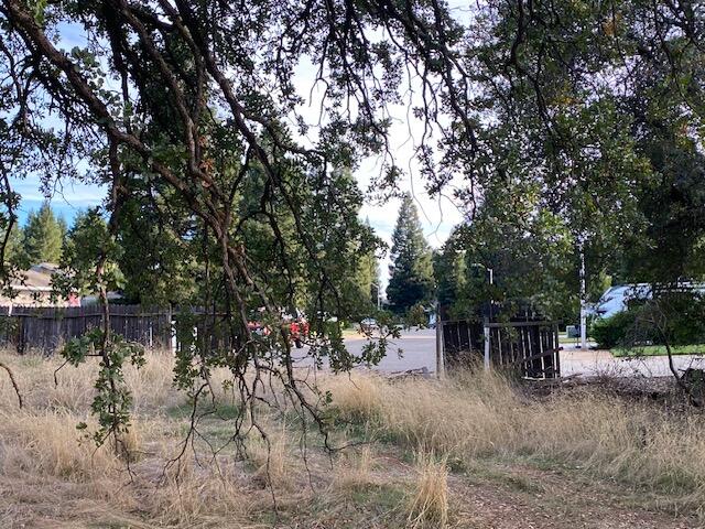 Shasta View Redding, CA 96002 - Photo 34 of 41 IMG_6224