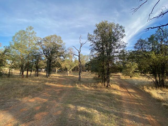 Shasta View Redding, CA 96002 - Photo 41 of 41 IMG_6244