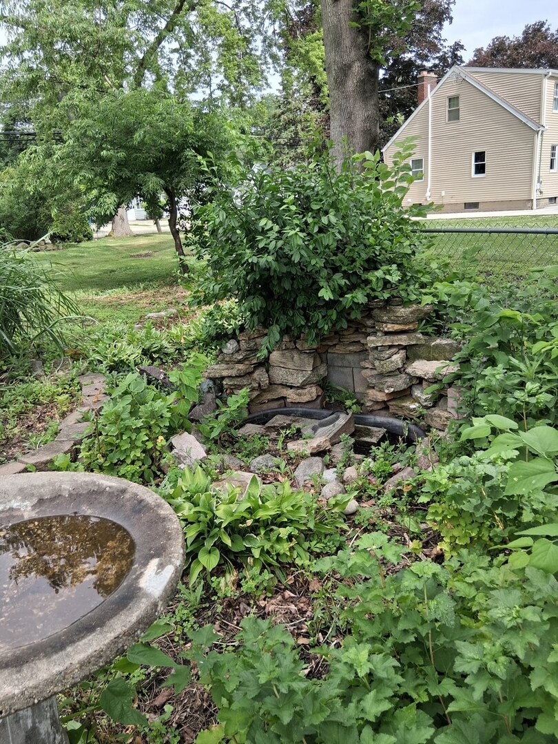 742 South 4th Street DeKalb, IL 60115 - Photo 40 of 46 a view of a garden with a tree