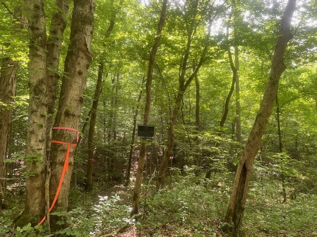 0 Mccollum Road Hurricane Mills, TN 37078 - Photo 11 of 20 a bathroom with a small yard