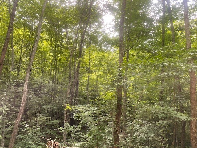 0 Mccollum Road Hurricane Mills, TN 37078 - Photo 17 of 20