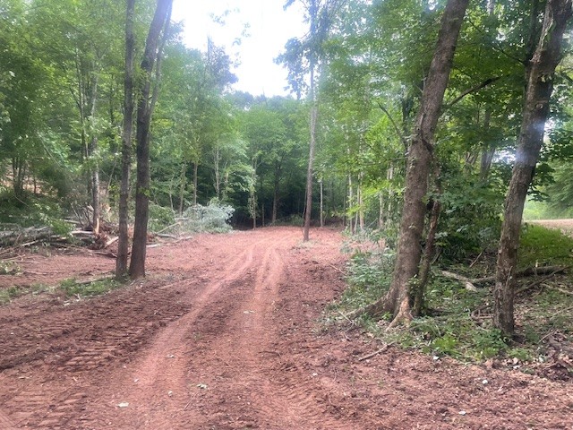 0 Mccollum Road Hurricane Mills, TN 37078 - Photo 3 of 20 a view of outdoor space and view of trees