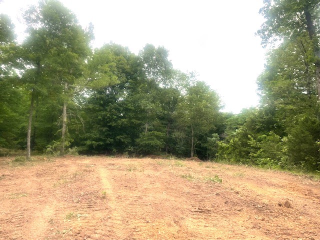 0 Mccollum Road Hurricane Mills, TN 37078 - Photo 5 of 20 a view of a yard covered with snow in front of house