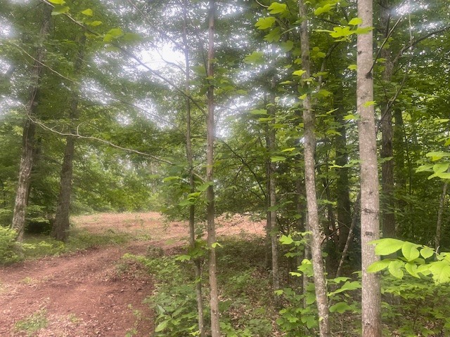 0 Mccollum Road Hurricane Mills, TN 37078 - Photo 6 of 20 a backyard of a house with lots of green space