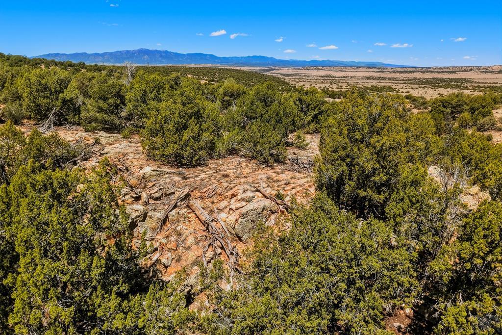 801 Turkey Rdg Road East Walsenburg, CO 81089 - Photo 56 of 65