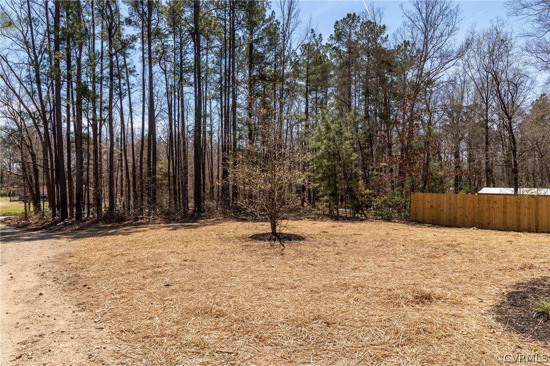 14620 Madison Road Dewitt, VA 23840 - Photo 12 of 28 Gallery Image 12