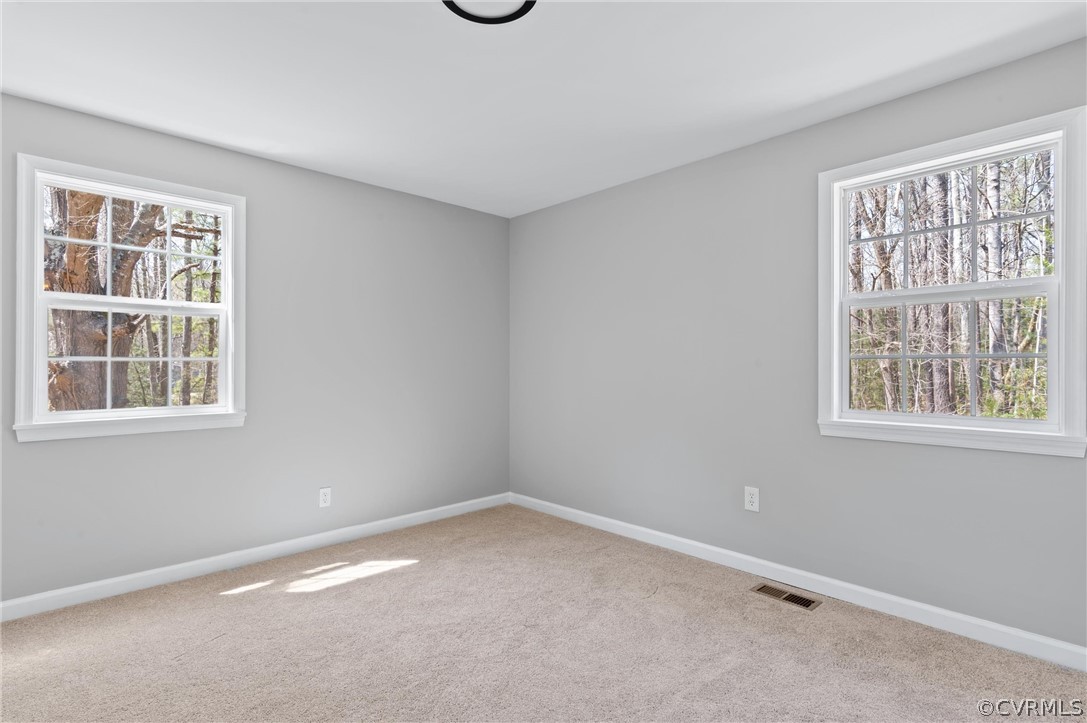 14620 Madison Road Dewitt, VA 23840 - Photo 22 of 28 Gallery Image 22