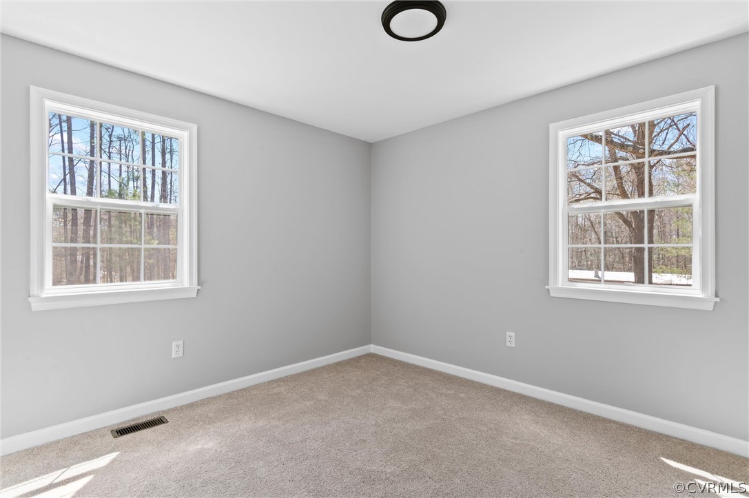 14620 Madison Road Dewitt, VA 23840 - Photo 24 of 28 Gallery Image 24
