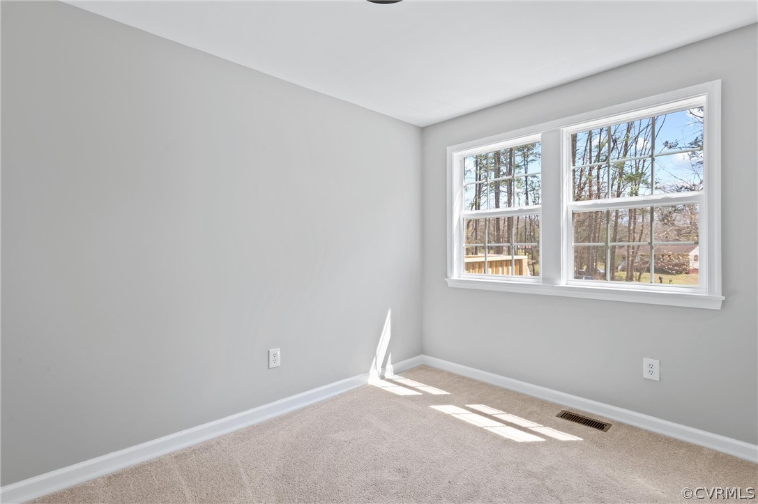 14620 Madison Road Dewitt, VA 23840 - Photo 26 of 28 Gallery Image 26