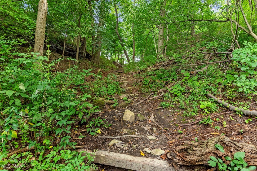 3337 Lake Road West Ashtabula, OH 44004 - Photo 11 of 15 View of wooded area