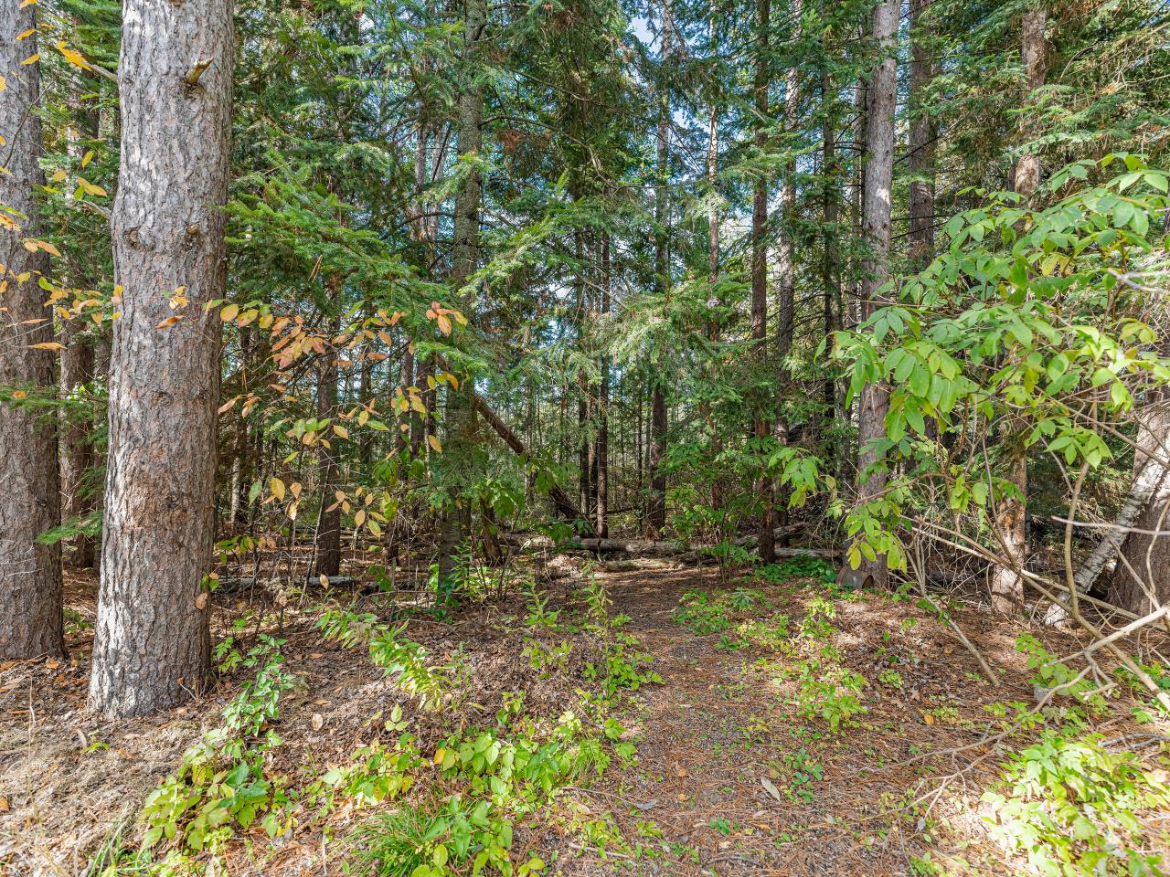 4932 Hwy 17 Rhinelander Wi 54501 Rhinelander, WI 54501 - Photo 15 of 21 Gallery Image 15