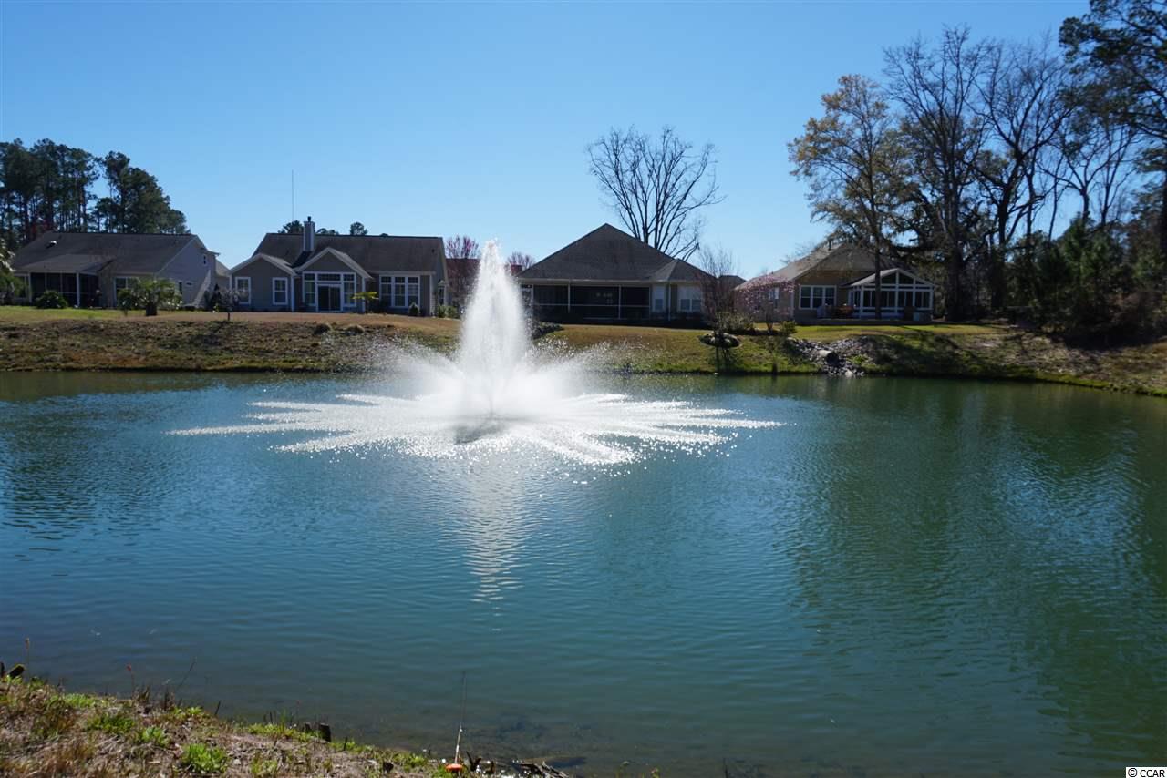 183 Rivers Edge Drive Conway, SC 29526 - Photo 22 of 28 Gallery Image 22