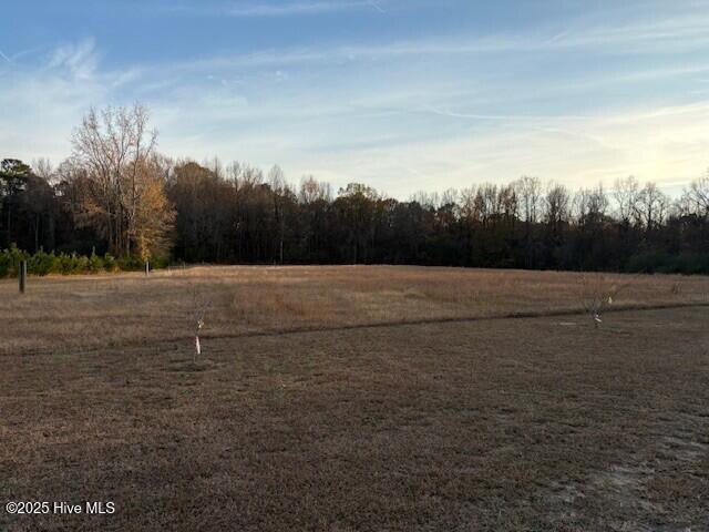 7057 Wiggins Mill Road Lucama, NC 27851 - Photo 11 of 77 7057 13