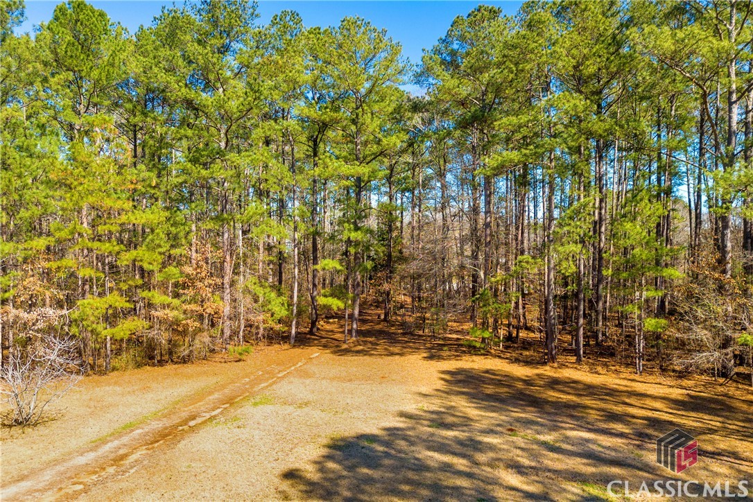 480 Thomson Road Washington, GA 30673 - Photo 62 of 65