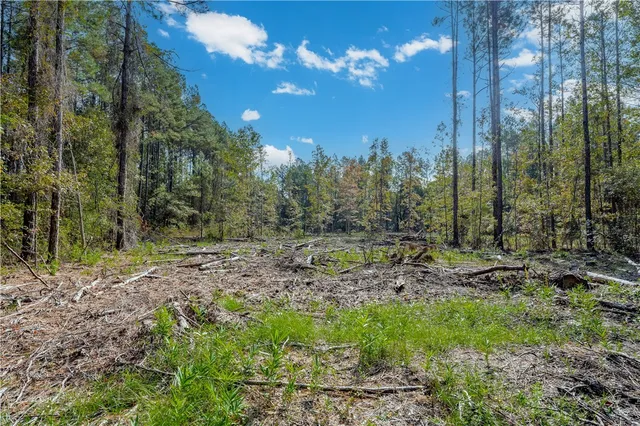 $69,900 | 58 Magnolia Plantation, White Oak, GA 31568