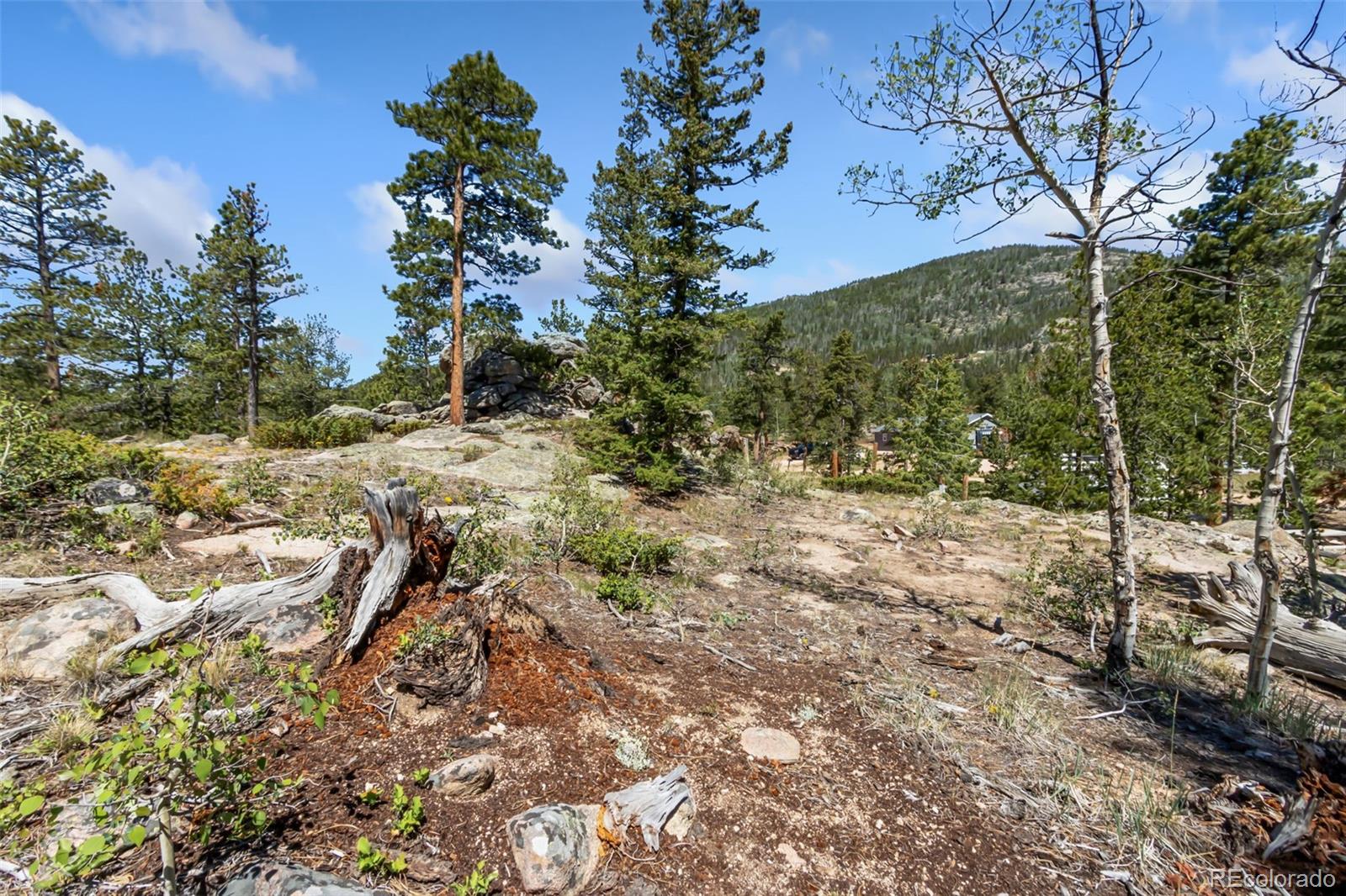 11 Inca Court Red Feather Lakes, CO 80545 - Photo 10 of 36