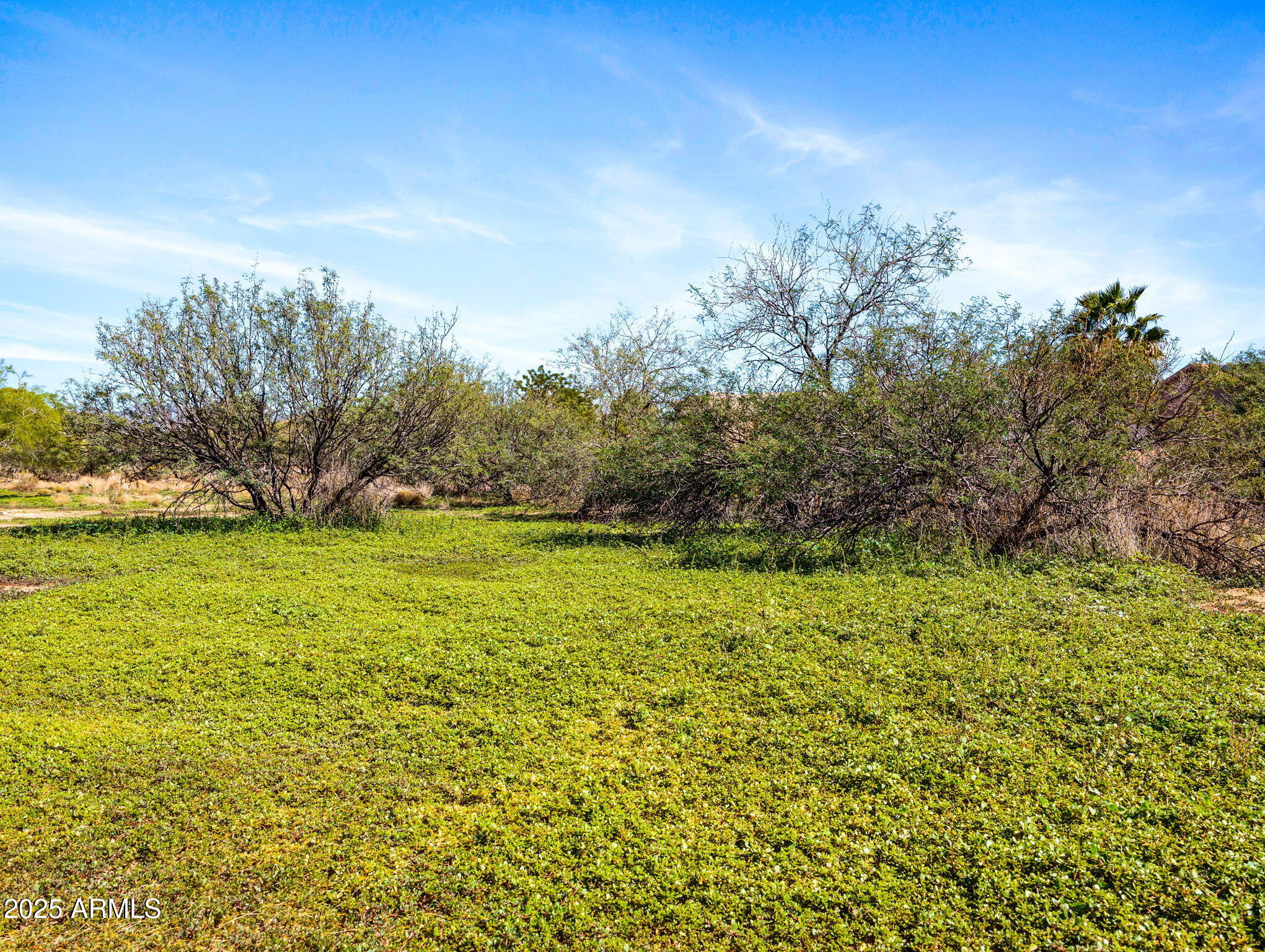 22055 Sunrise Road Congress, AZ 85332 - Photo 8 of 20 a view of yard with green space
