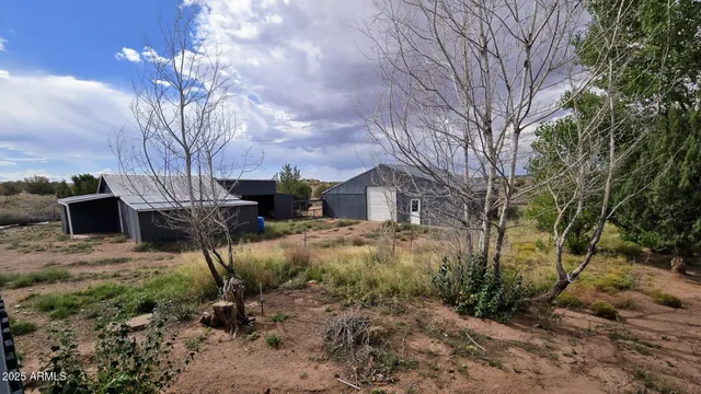 a view of a yard with plants and a large tree