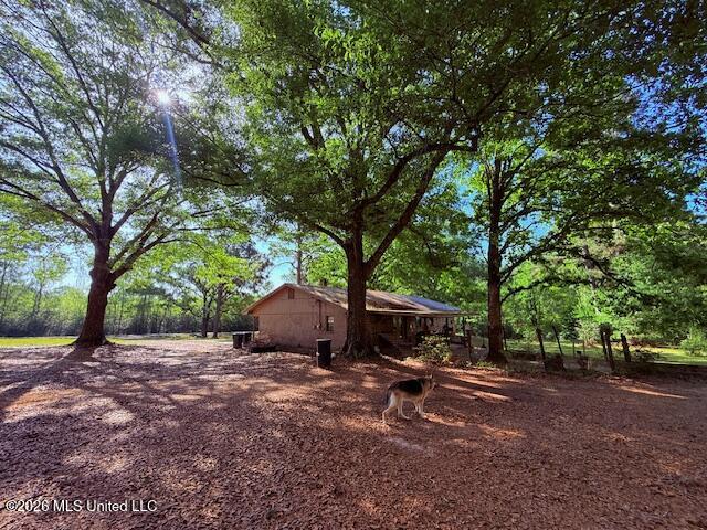 209 Oral Church Road Tylertown, MS 39667 - Photo 29 of 41 IMG_3559 - Copy
