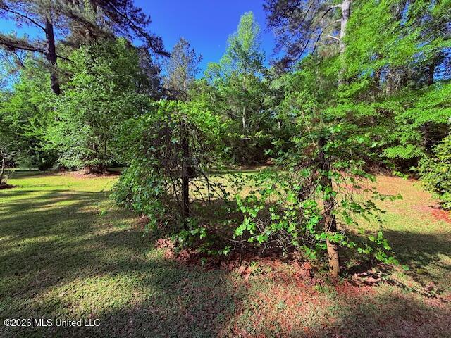 209 Oral Church Road Tylertown, MS 39667 - Photo 32 of 41 IMG_3562 - Copy