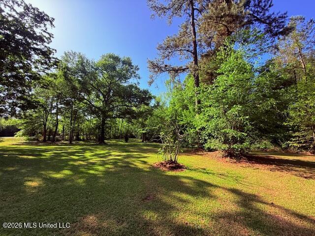 209 Oral Church Road Tylertown, MS 39667 - Photo 33 of 41 IMG_3563 - Copy