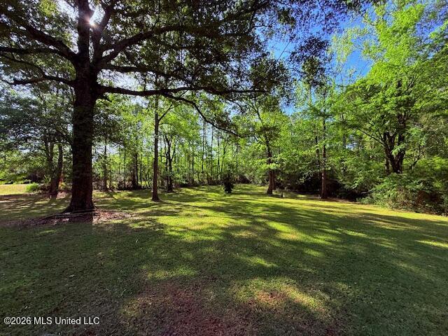 209 Oral Church Road Tylertown, MS 39667 - Photo 34 of 41 IMG_3564 - Copy