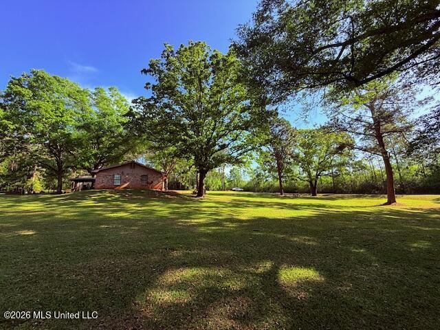 209 Oral Church Road Tylertown, MS 39667 - Photo 35 of 41 IMG_3565