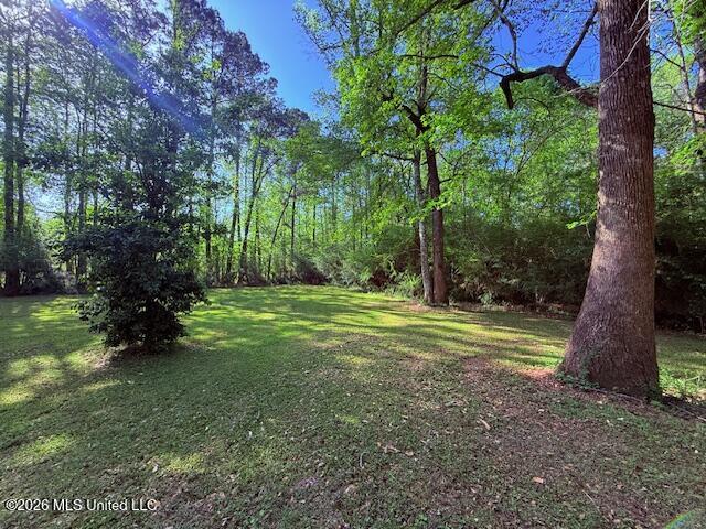 209 Oral Church Road Tylertown, MS 39667 - Photo 36 of 41 IMG_3566