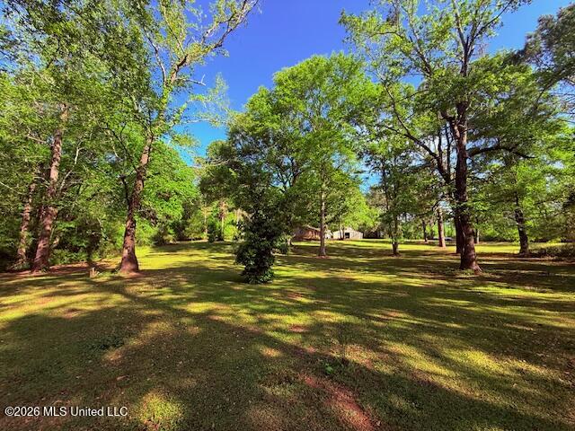 209 Oral Church Road Tylertown, MS 39667 - Photo 37 of 41 IMG_3567