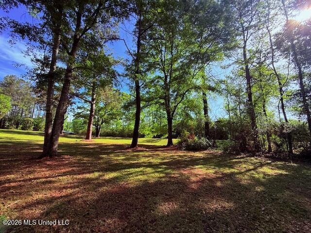 209 Oral Church Road Tylertown, MS 39667 - Photo 38 of 41 IMG_3568