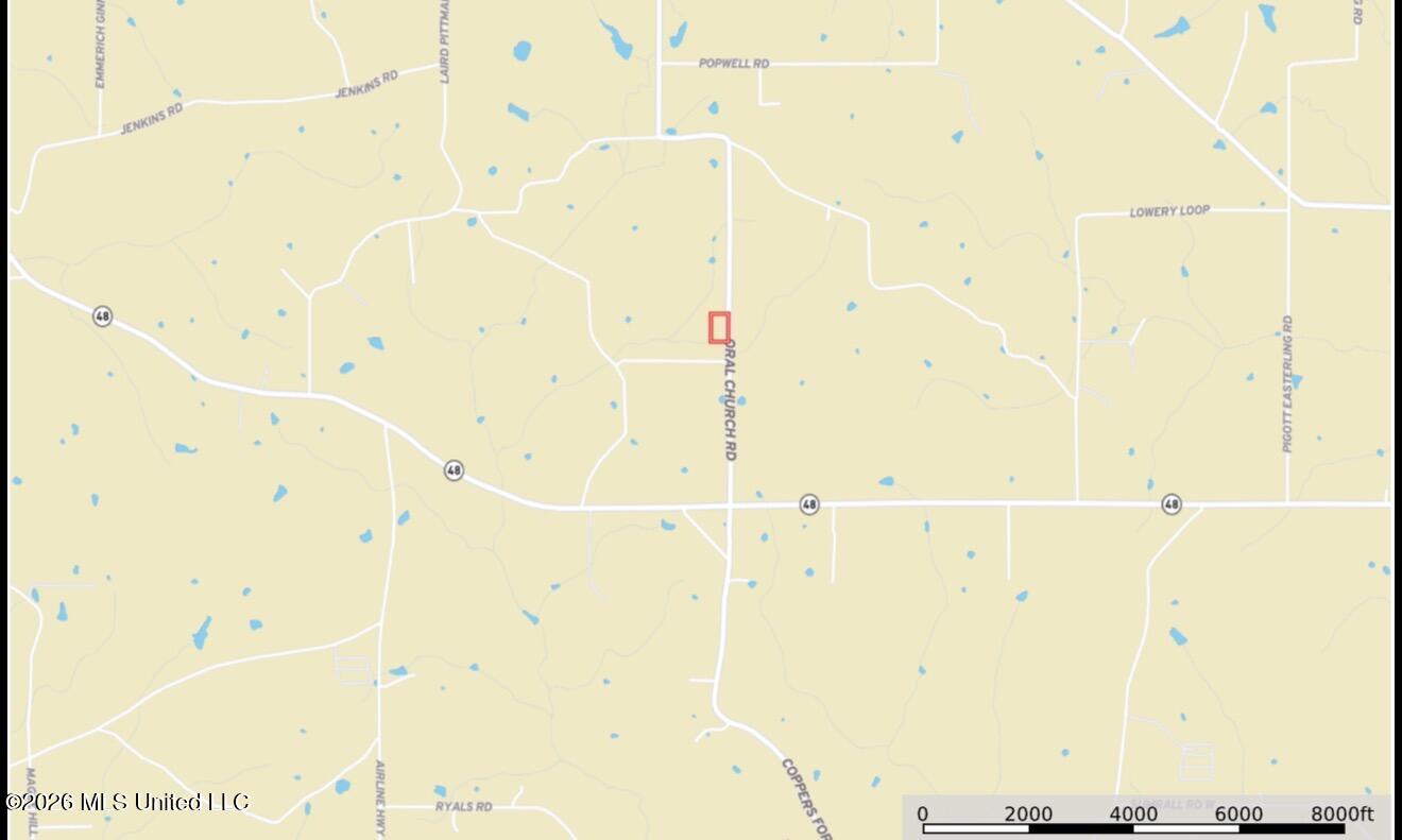 209 Oral Church Road Tylertown, MS 39667 - Photo 39 of 41 IMG_3612