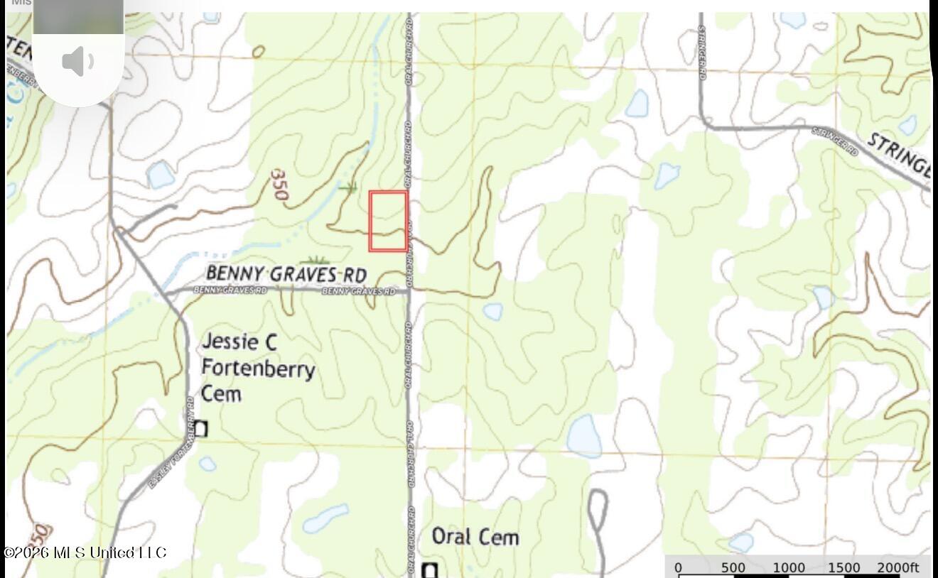 209 Oral Church Road Tylertown, MS 39667 - Photo 40 of 41 IMG_3613