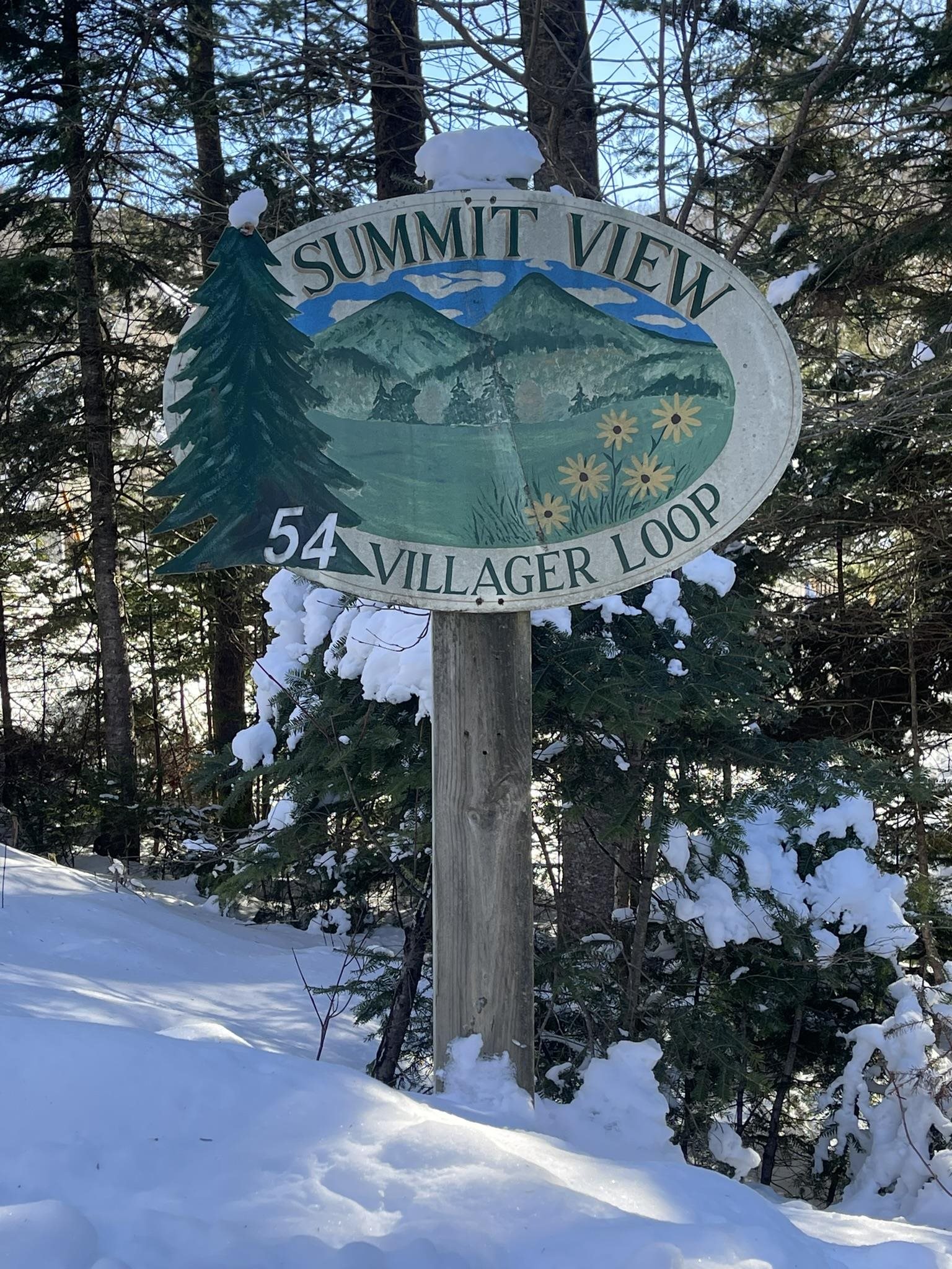 54 Villager Loop West Dover, VT 05356 - Photo 26 of 32