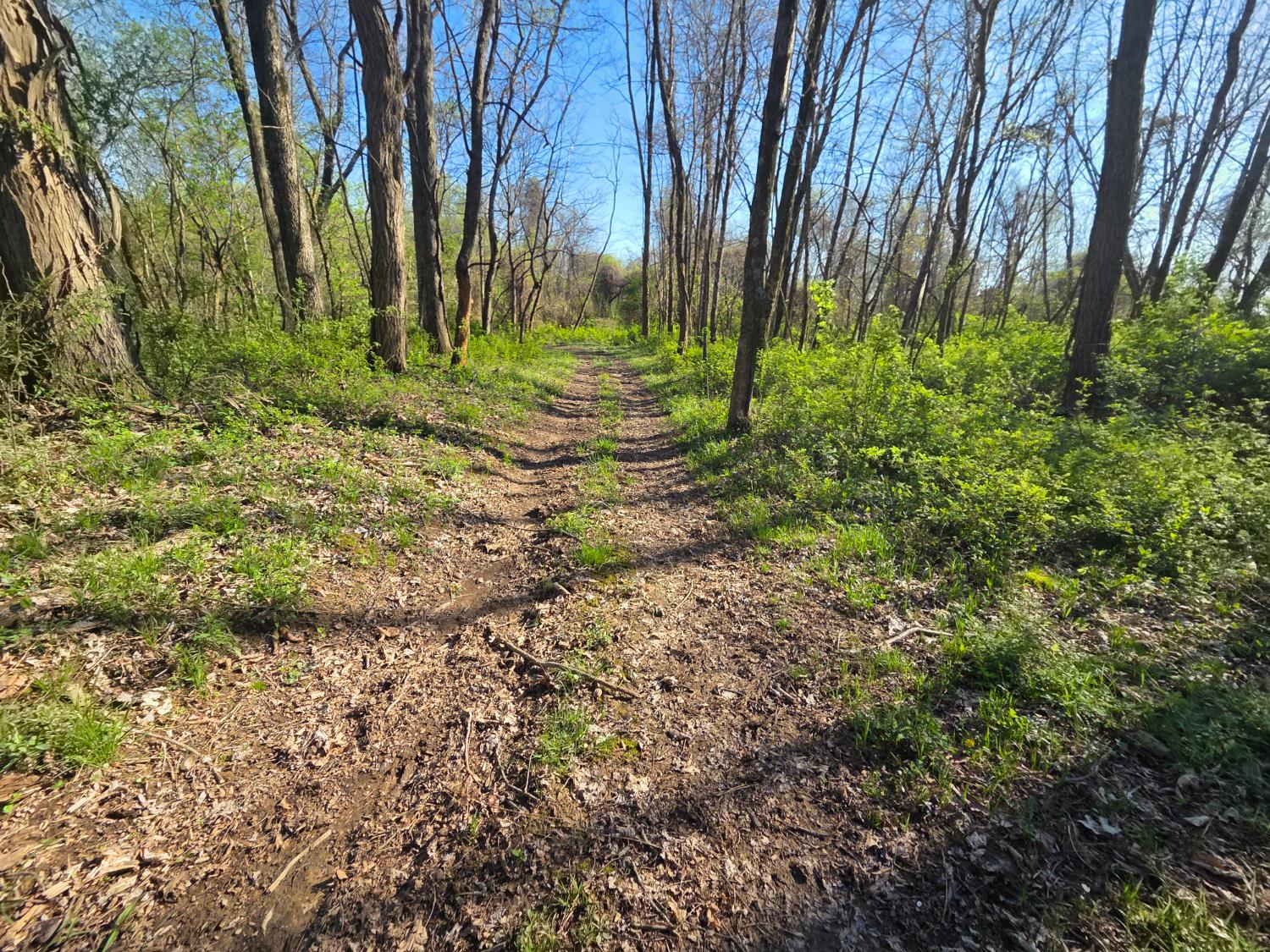 11748 Peelman Road Vevay, IN 47043 - Photo 47 of 56