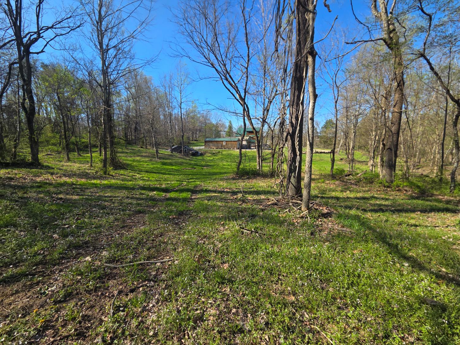 11748 Peelman Road Vevay, IN 47043 - Photo 49 of 56