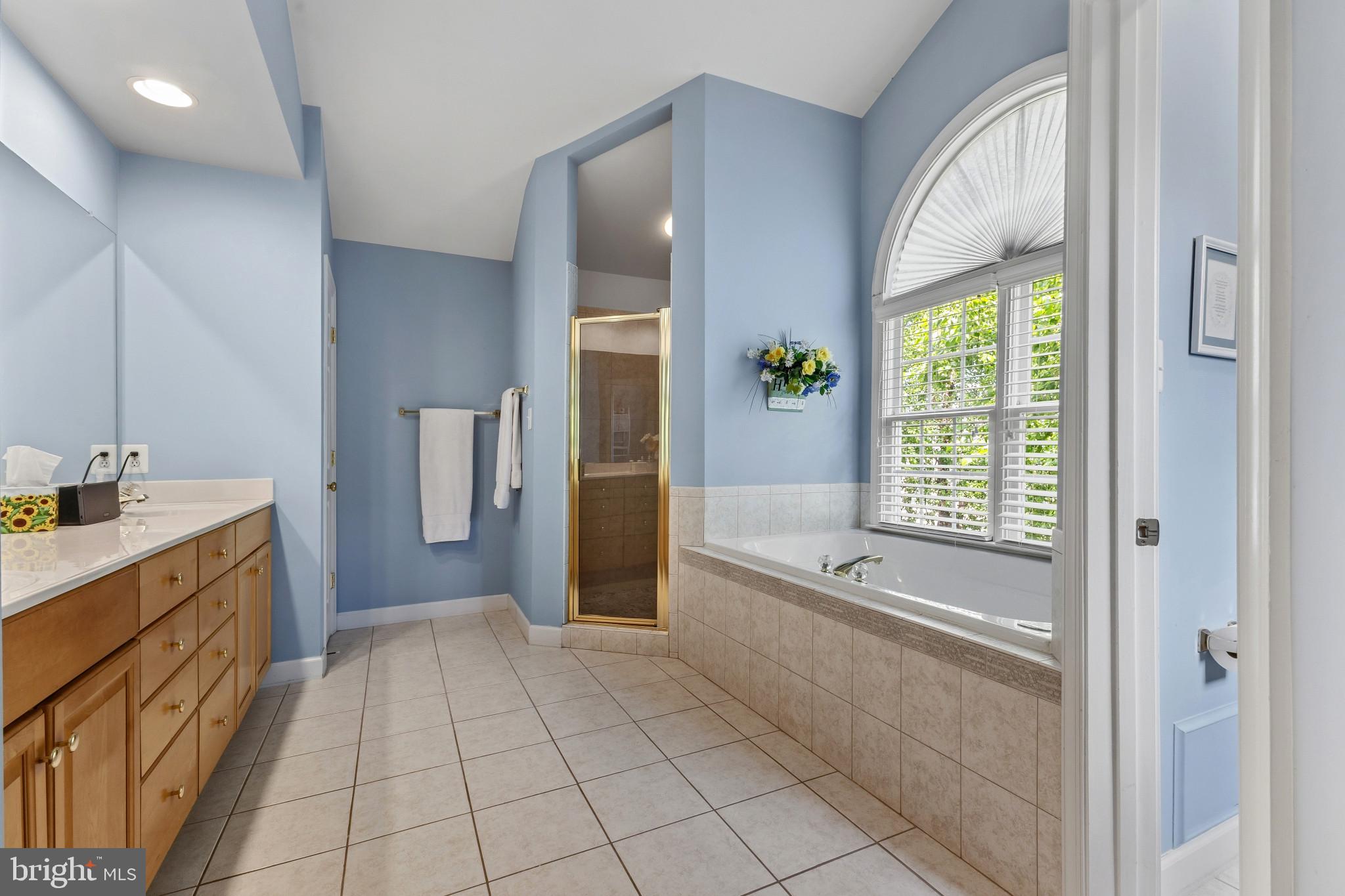 15006 Ransom Oaks Court Gainesville, VA 20155 - Photo 25 of 57 Serene blue-hued bathroom retreat.