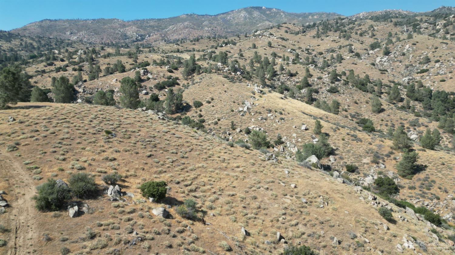 0 Piute Mountain Road Caliente, CA 93518 - Photo 12 of 35 Gallery Image 12