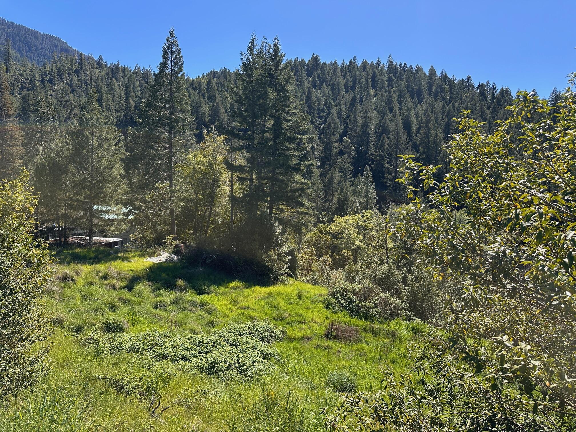 232 East Perch Creek Road Orleans, CA 95556 - Photo 6 of 14