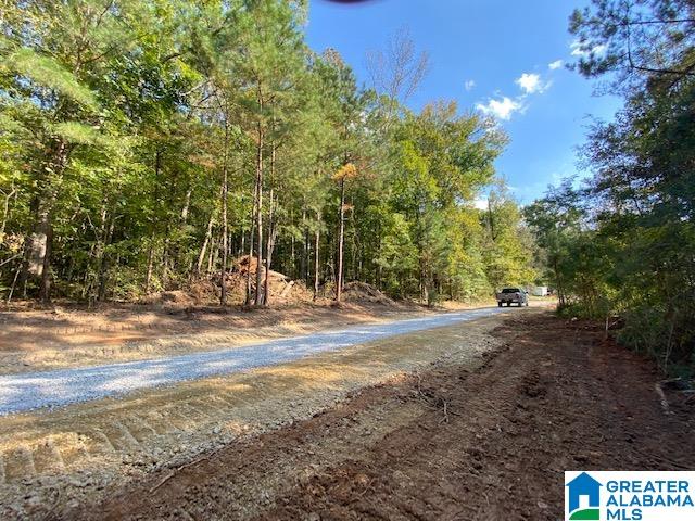 0 Maddox Farm Road, Unit OPTION 2 TRACT 2 Odenville, AL 35120 - Photo 6 of 7
