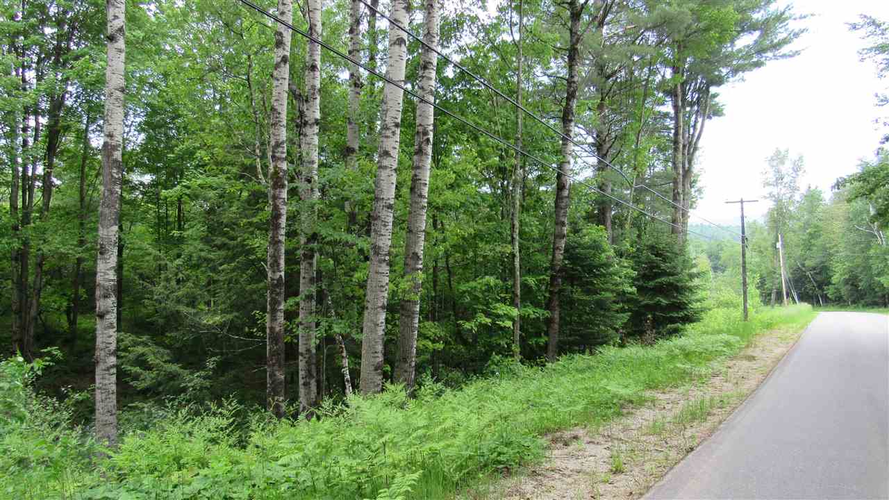 0 Natural Turnpike Ripton, VT 05766 - Photo 2 of 12