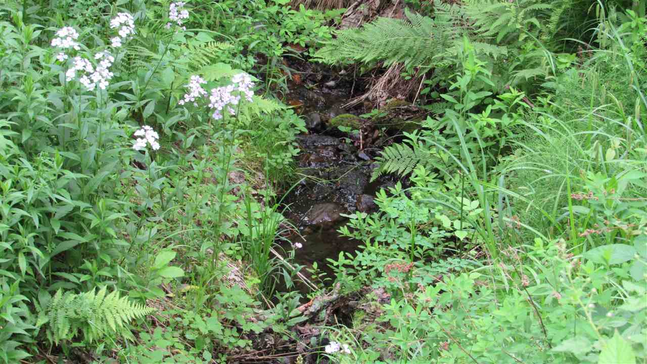 0 Natural Turnpike Ripton, VT 05766 - Photo 3 of 12