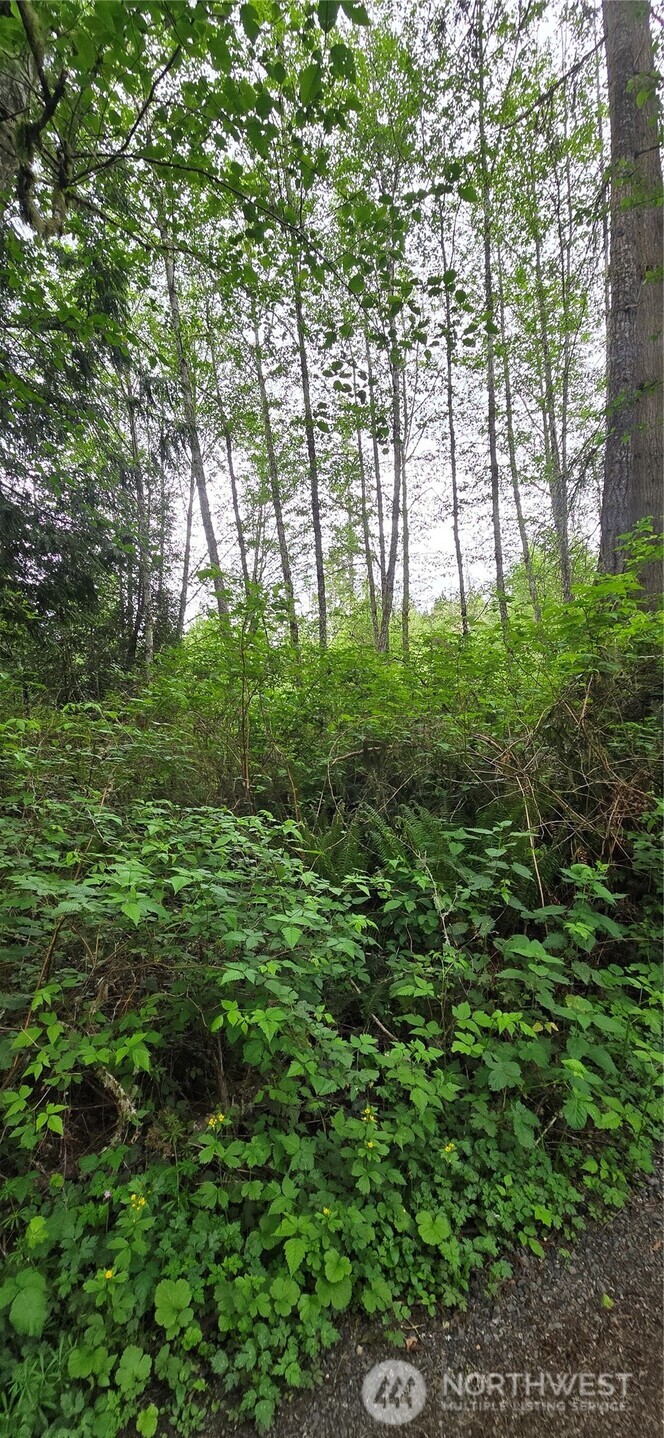0 Port Gamble Road Northeast Poulsbo, WA 98370 - Photo 11 of 15