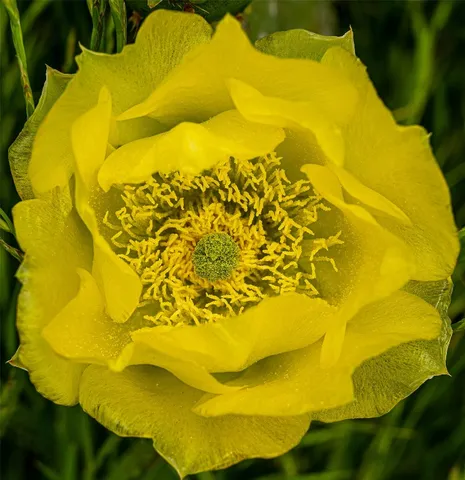 a view of a swimming pool