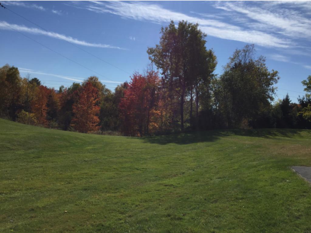 221 Frazier Road Morristown, VT 05661 - Photo 7 of 14