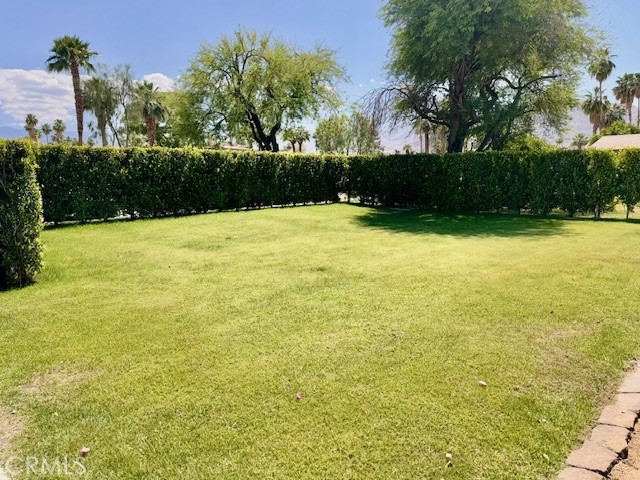 73740 Santa Rosa Way, Unit E Palm Desert, CA 92260 - Photo 4 of 15 a view of a yard with an trees